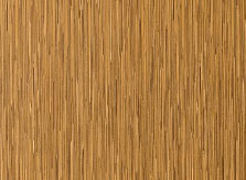 Rattan Cane
