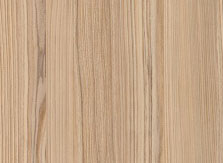 Thuja