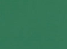 Verde Oficial