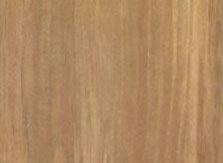 Maple Verona